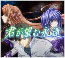 Kimi ga Nozomu Eien Special