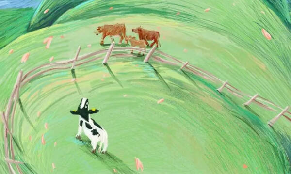 Eri, the Cow