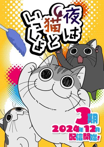 Nights With a Cat Season 3