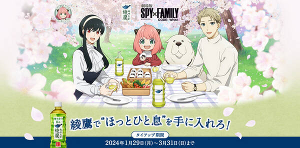 Ayataka Spy x Family Movie Campaign Ayataka de Hotto Hitoiki