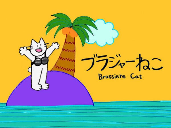 Brassiere Cat