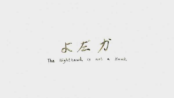 The Nighthawk Is Not a Hawk