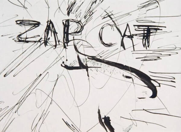 Zap Cat