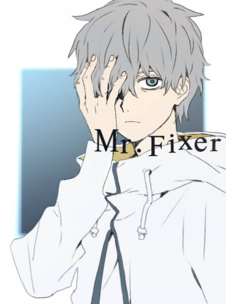 Mr. Fixer