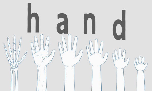 Hand