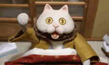 Kotatsu Neko