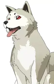 Koromaru