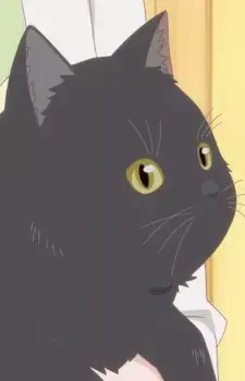 Daru