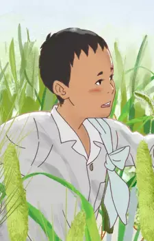 Boy