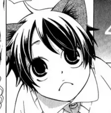 Tomo