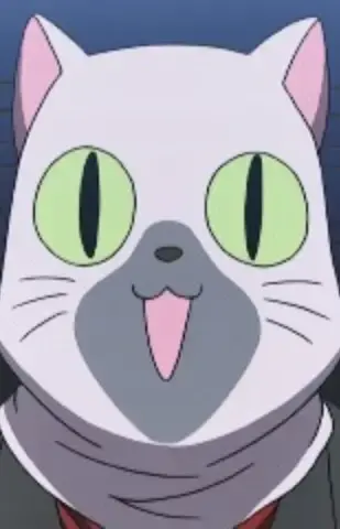 Siamese Cat