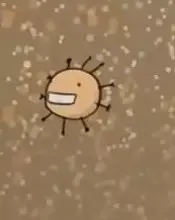 Influenza virus