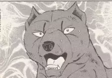 Sakachi