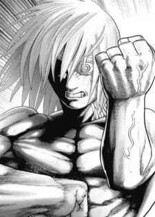 Shinobu Mibuchi