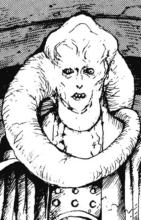 Bib Fortuna