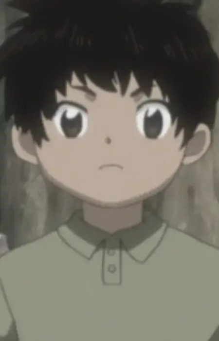 Hide