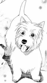 Kuon