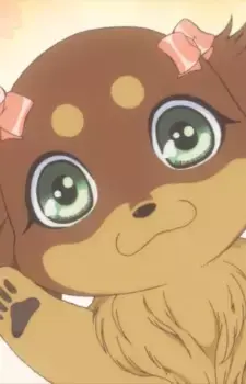 Chocotan