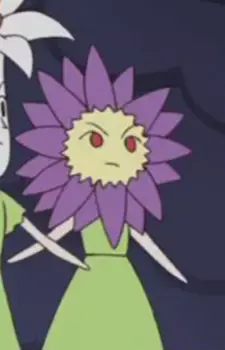 Anemone-san