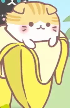 Scottish Fold Bananya