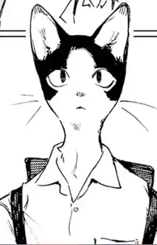 Hachi