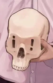 Yamamoto