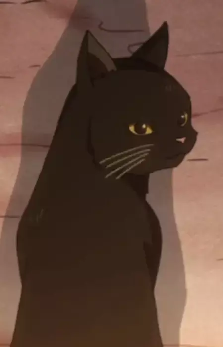 Aoi