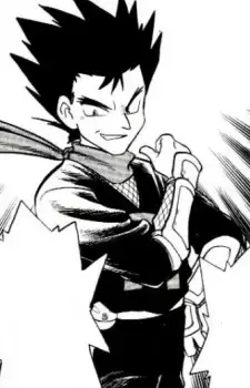 Ninja Koga
