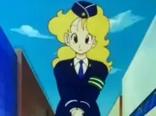Traffic Agent Lady