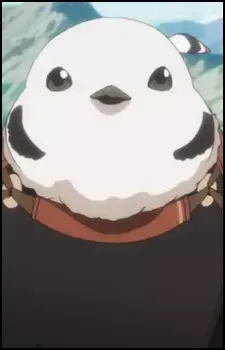 Kokopo