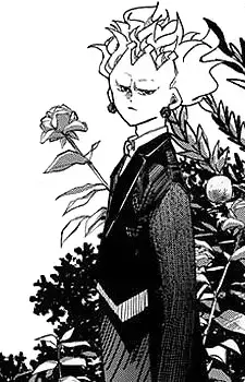 Don Otogami