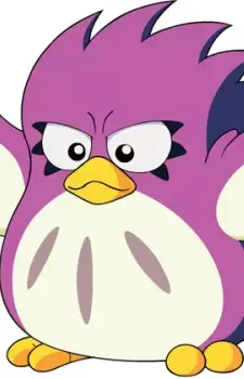 Coo