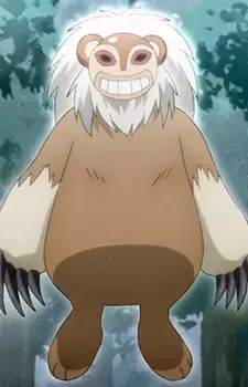 Coco Bear