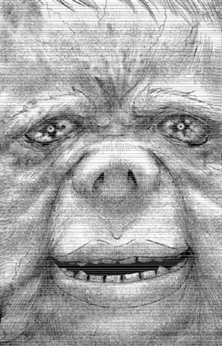 Pig Zoo Director