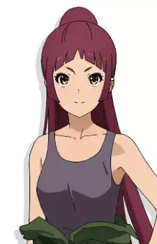 Akira Mishima