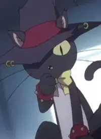 Black Cat