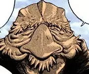 Tori Oji-chan