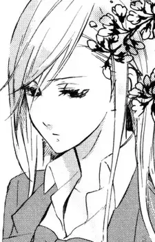Sakura Kasumi