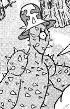 El Notacactuso
