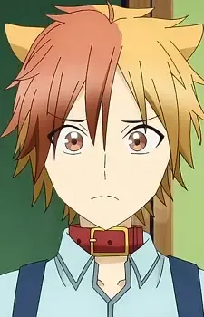 Tamao Akisame