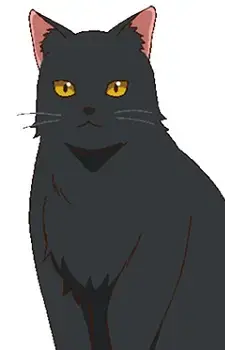 Anko-san