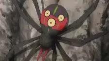 The Spider