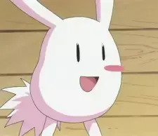 Pikota
