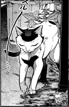 Akemi