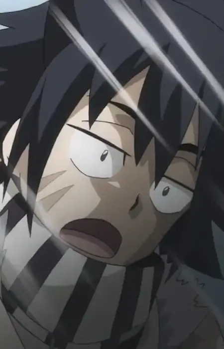 Hashiru Nekota