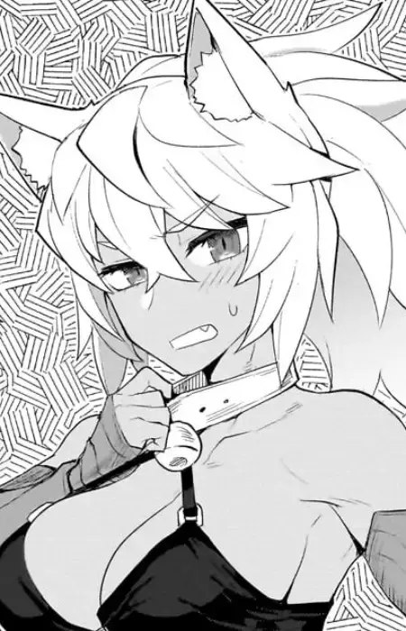 Moka Calico