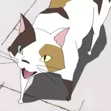 The Wind Cat