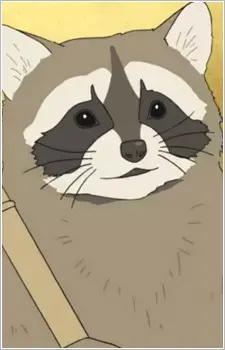 Raccoon