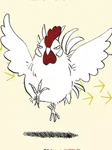 Kokko-san