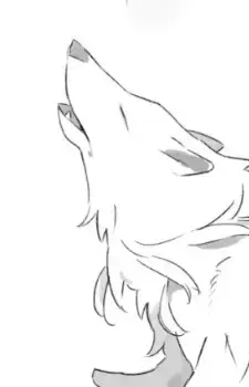 Gin Ookami